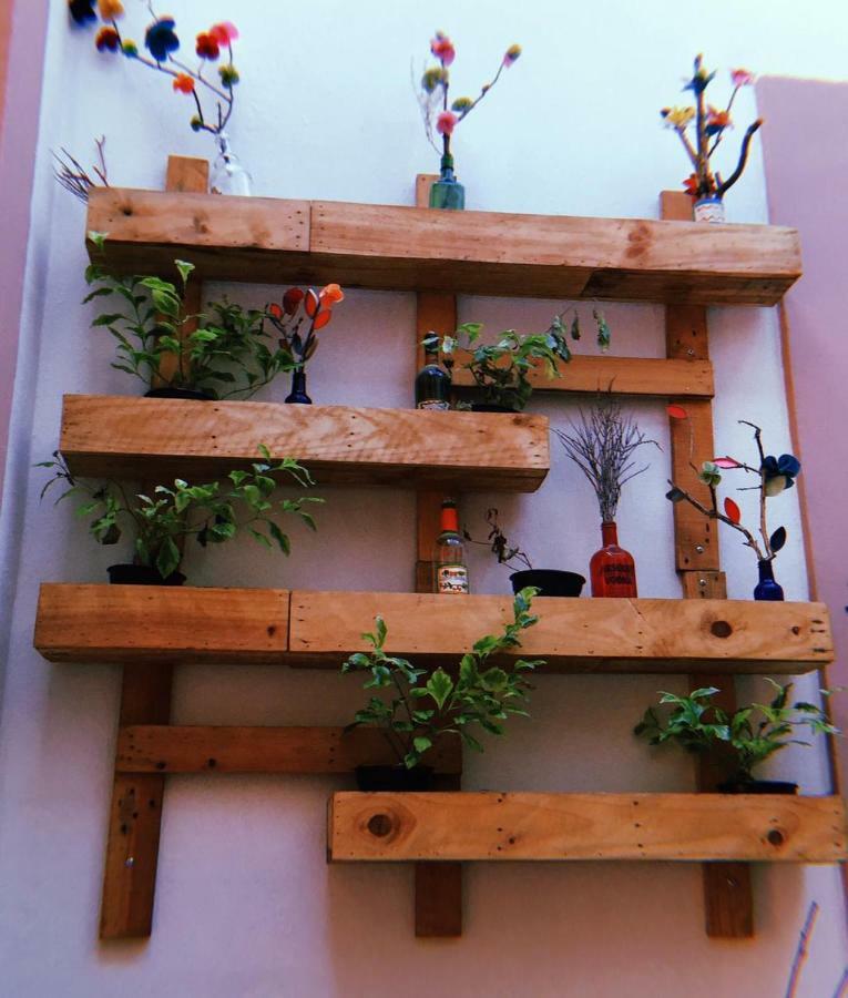 Hostel Maria Bonita Guadalajara Exteriér fotografie